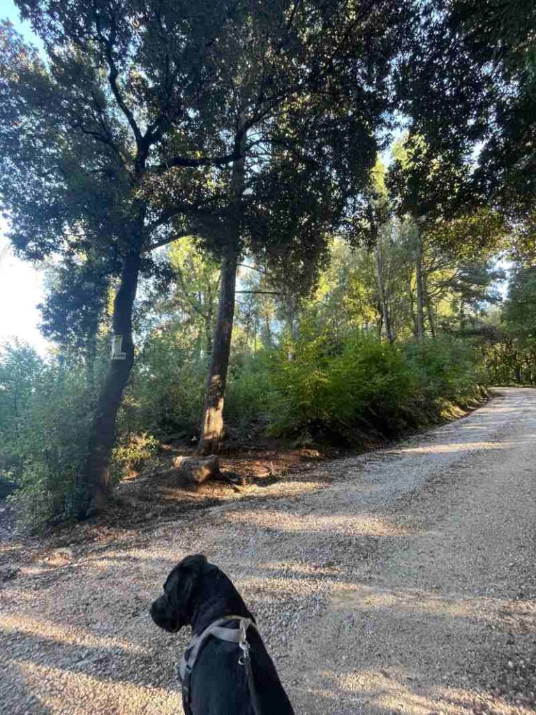 Il bello di vivere in campagna